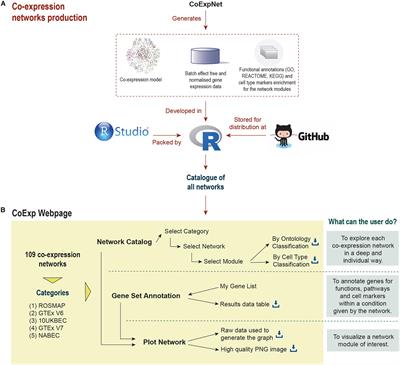 CoExp: A Web Tool for the Exploitation of Co-expression Networks